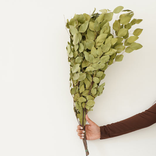 Infinity Flowers - Eucalyp Sage Green