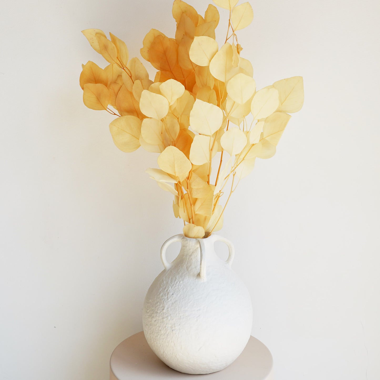 Infinity Flowers - Eucalyp Ivory