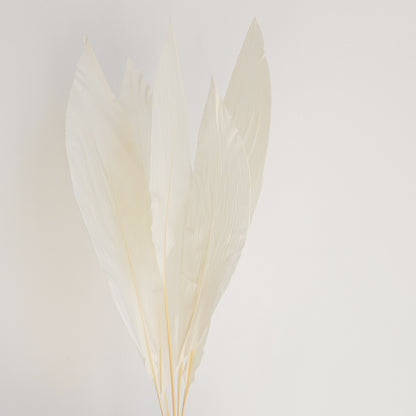 Infinity Flowers - Feather White