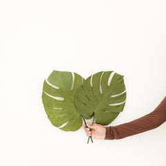Infinity Collection -Monstera Leaves-Natural green