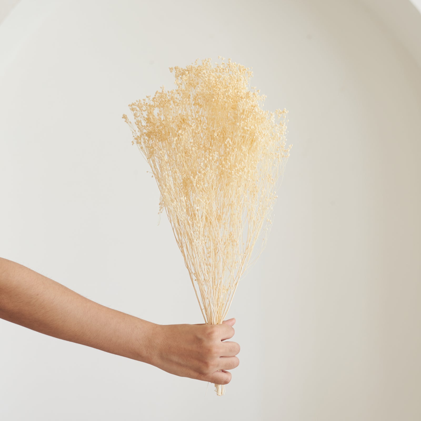 Tribe Dubai Dried Flowers TRIBE