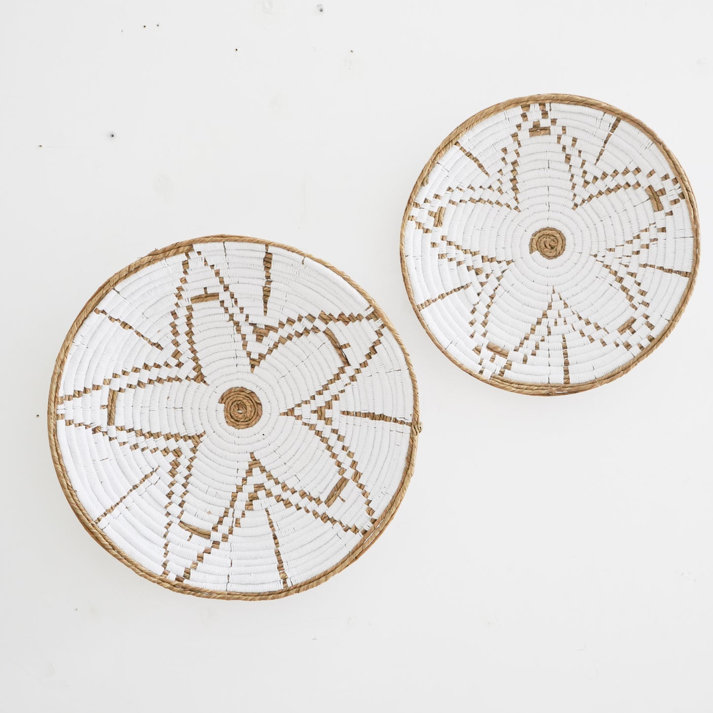 Daisy Plates - Wall Decorations/Plates