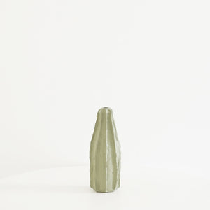Declan Cactus Bottle Vase - Home Decor