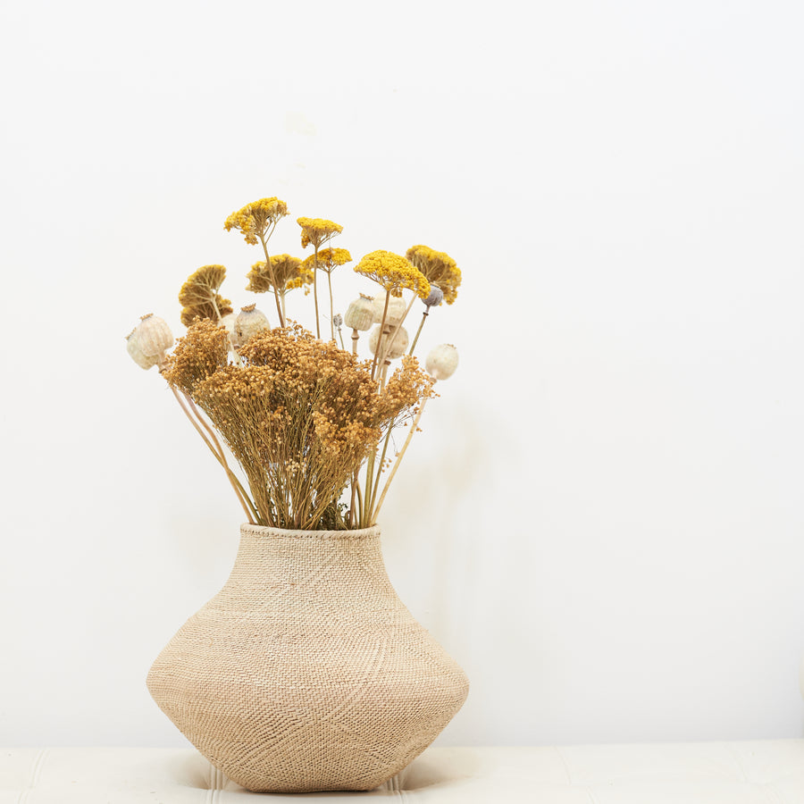 Dried Flowers - Bloom Broom Bunch, Natural