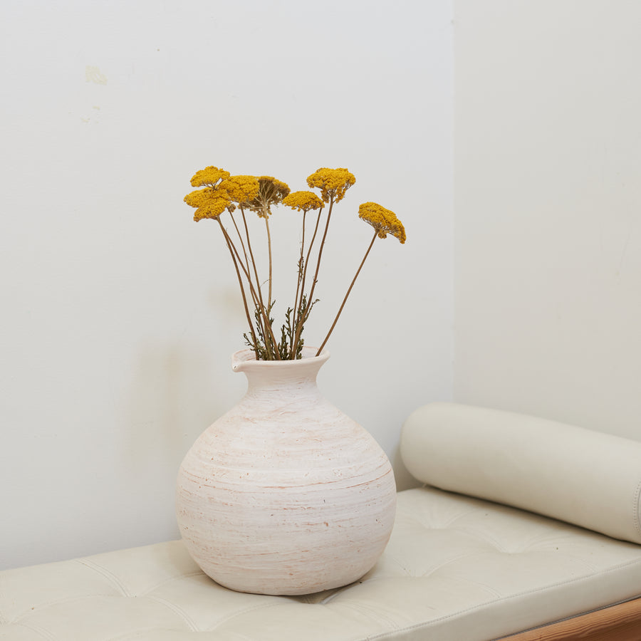 Dried Flowers - Achillea Parker, Yellow