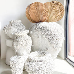 Noor Coral Pots