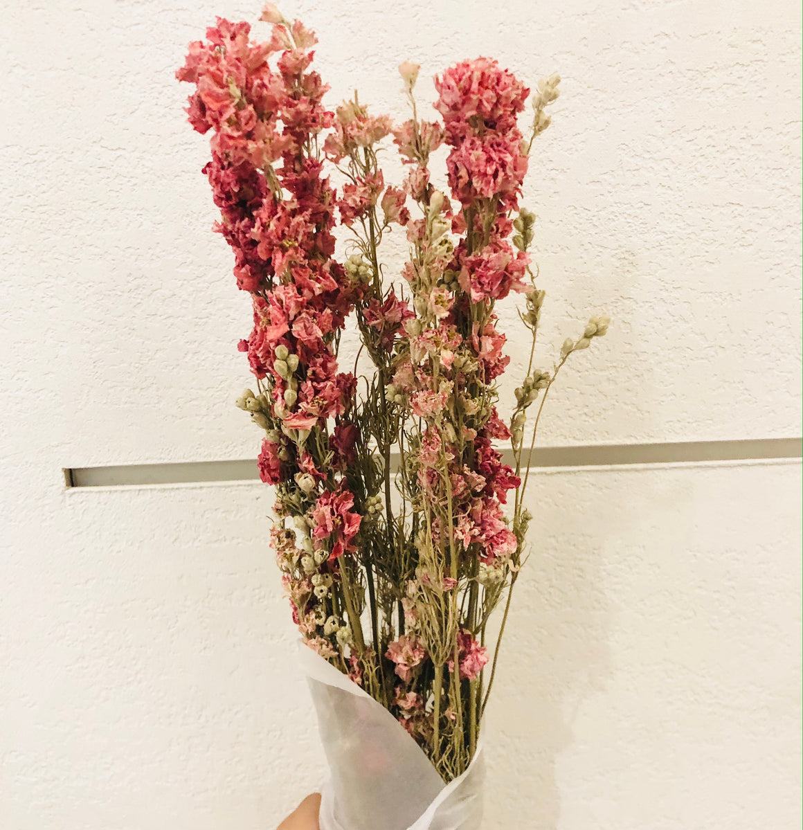 Dried Flowers -  Delphinium Pink