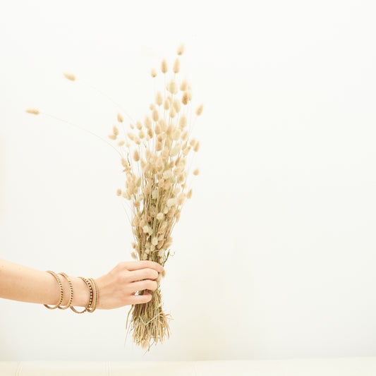 Dried Flowers - Lagarus Ovatus