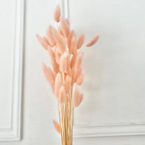 Dried Flowers - Lagarus Pink