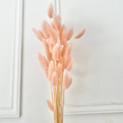 Dried Flowers - Lagarus Pink