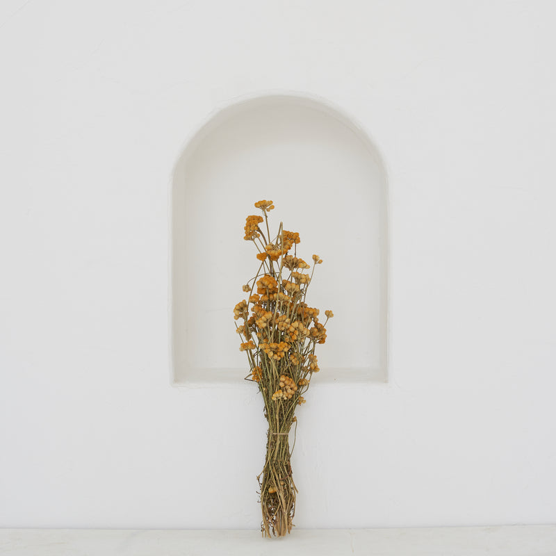 Tribe Dubai Dried Flowers TRIBE