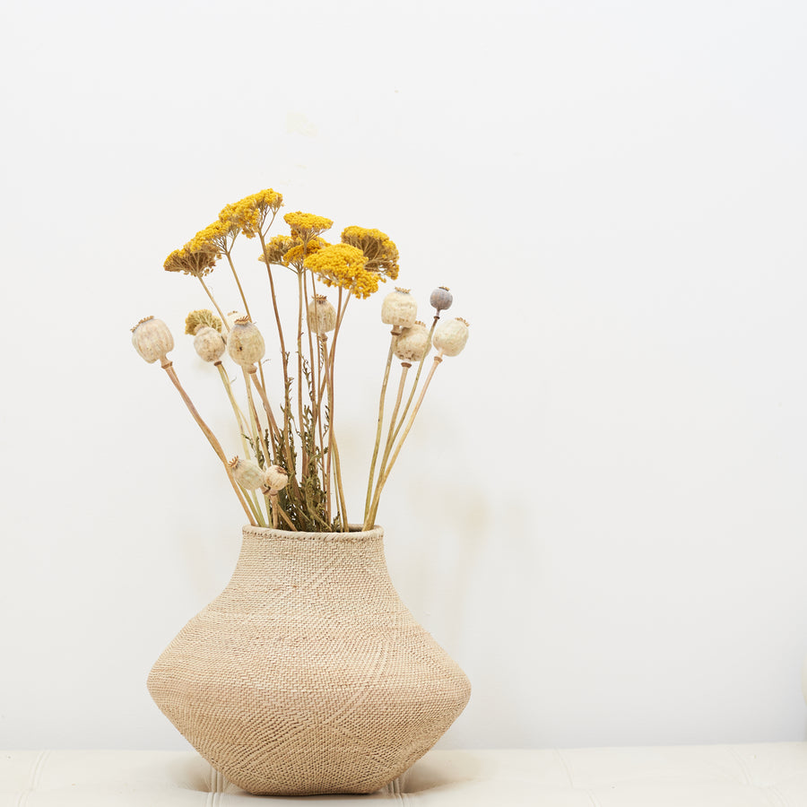 Dried Flowers - Papaver / زهور