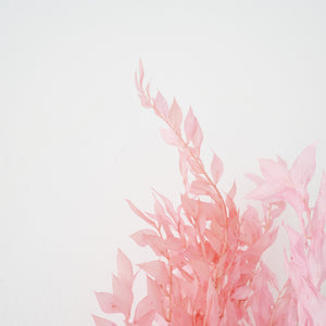 Dried Flowers - Ruscus (Pink) / زهور