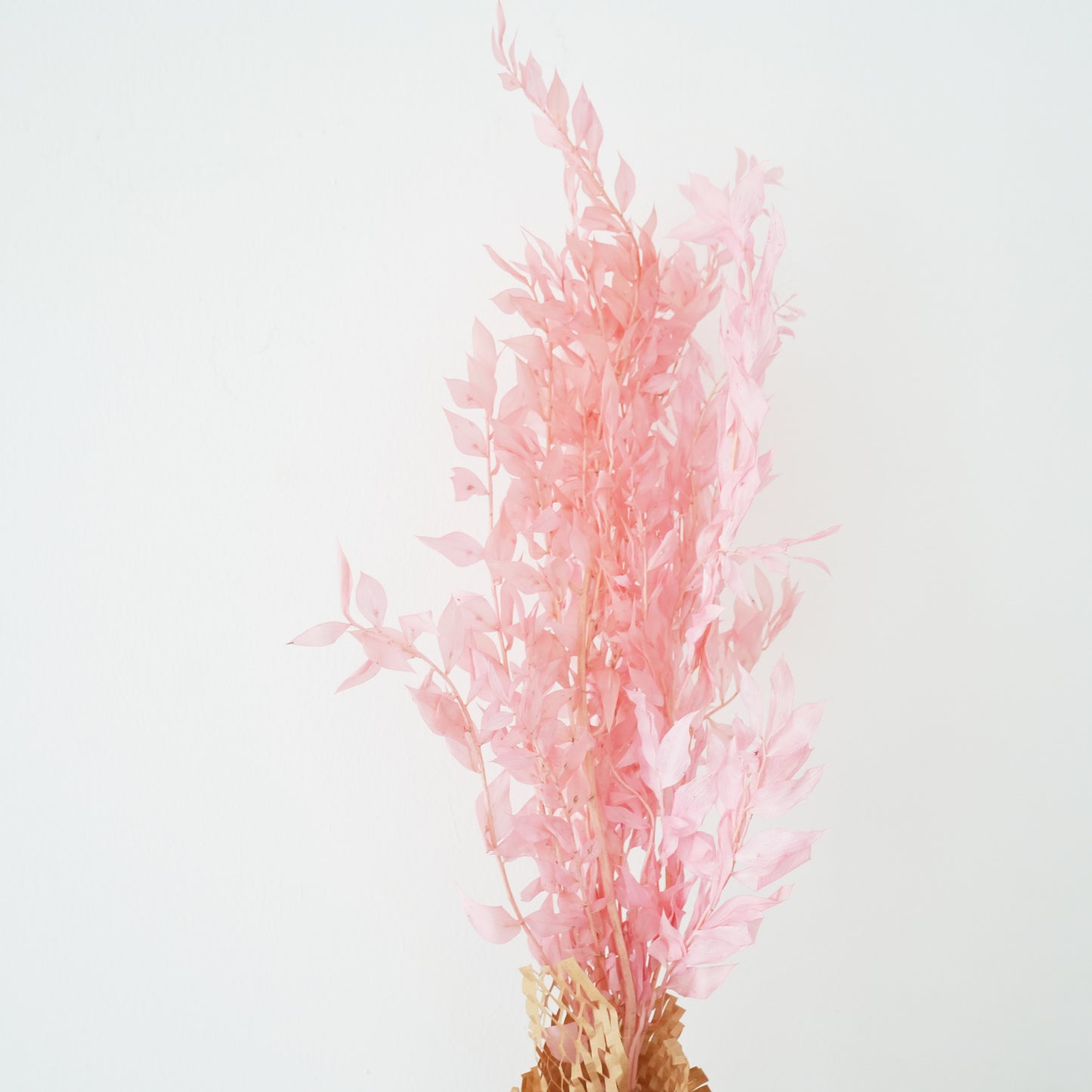 Dried Flowers - Ruscus (Pink) / زهور