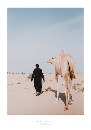 Dubai Natural Print Only  - Camel / طباعة