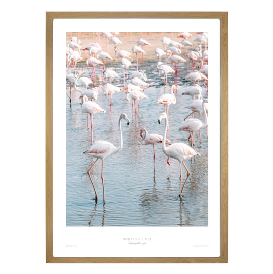 Dubai Natural Framed Print, Oak - Flamingos / طباعة