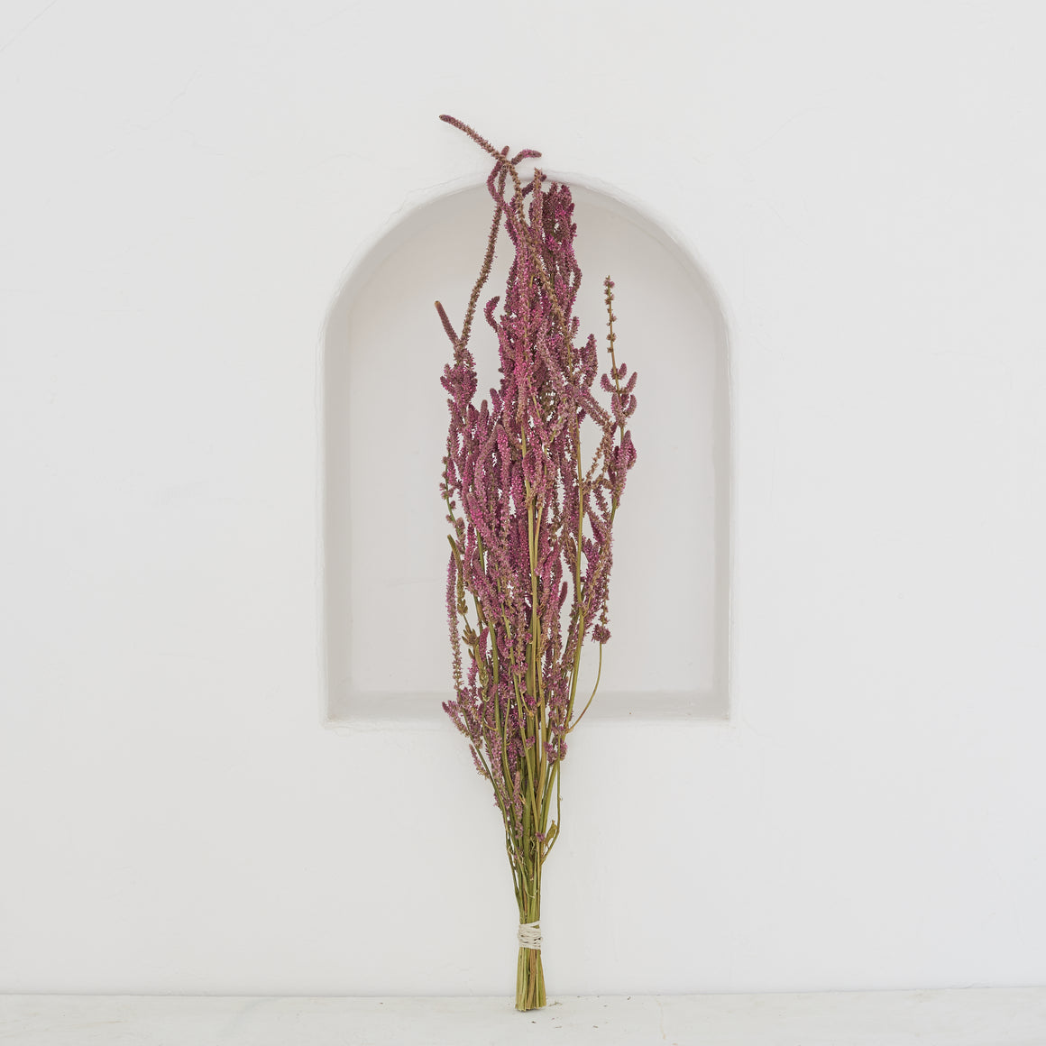 Dried Flowers - Statice/ زهور