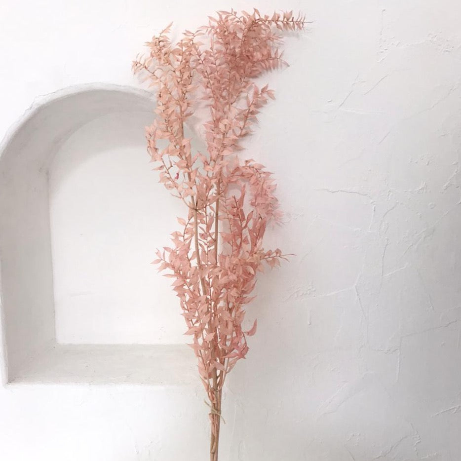 Dried Flowers - Ruscus (Pink) / زهور