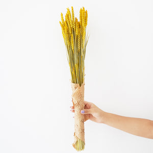 Dried Flowers - Wheat / زهور