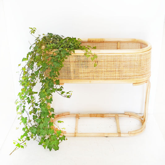 Kidist Plant Holder